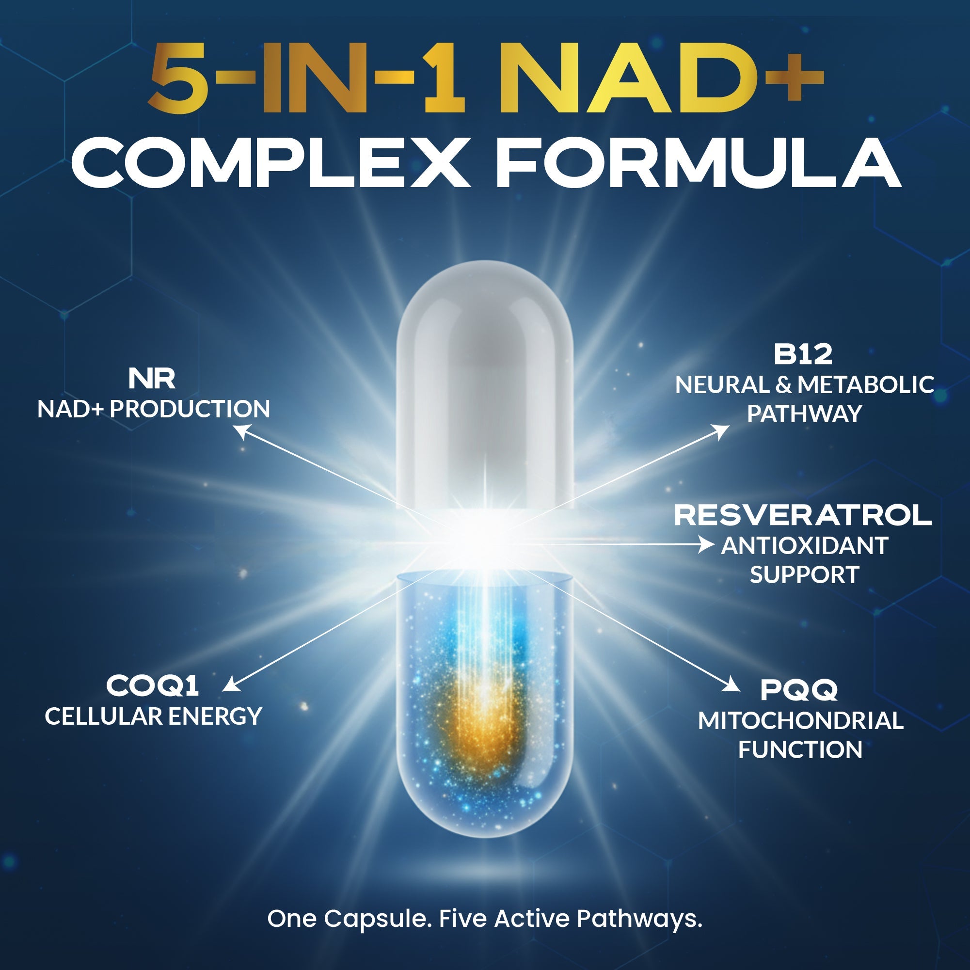NAD+ Supplement with 500mg NR - Benefits, Research & Reviews 2026